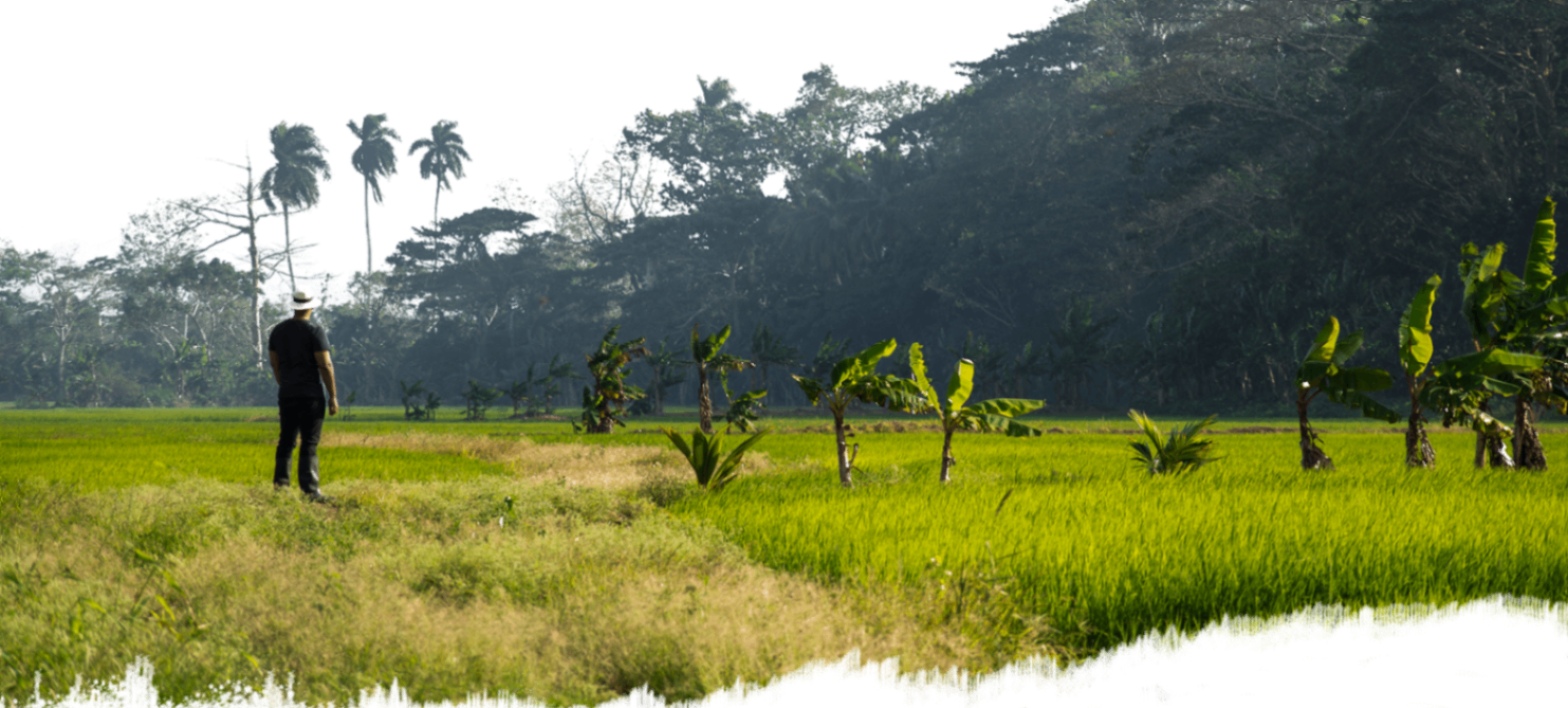 2009 im Saturn: Der Moment, der alles veränderte